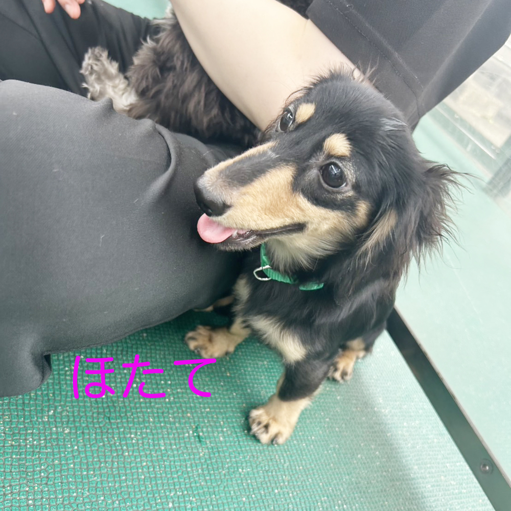 生徒が撮影してくれた写真☆